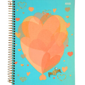 Caderno SD Passion 15 Matérias