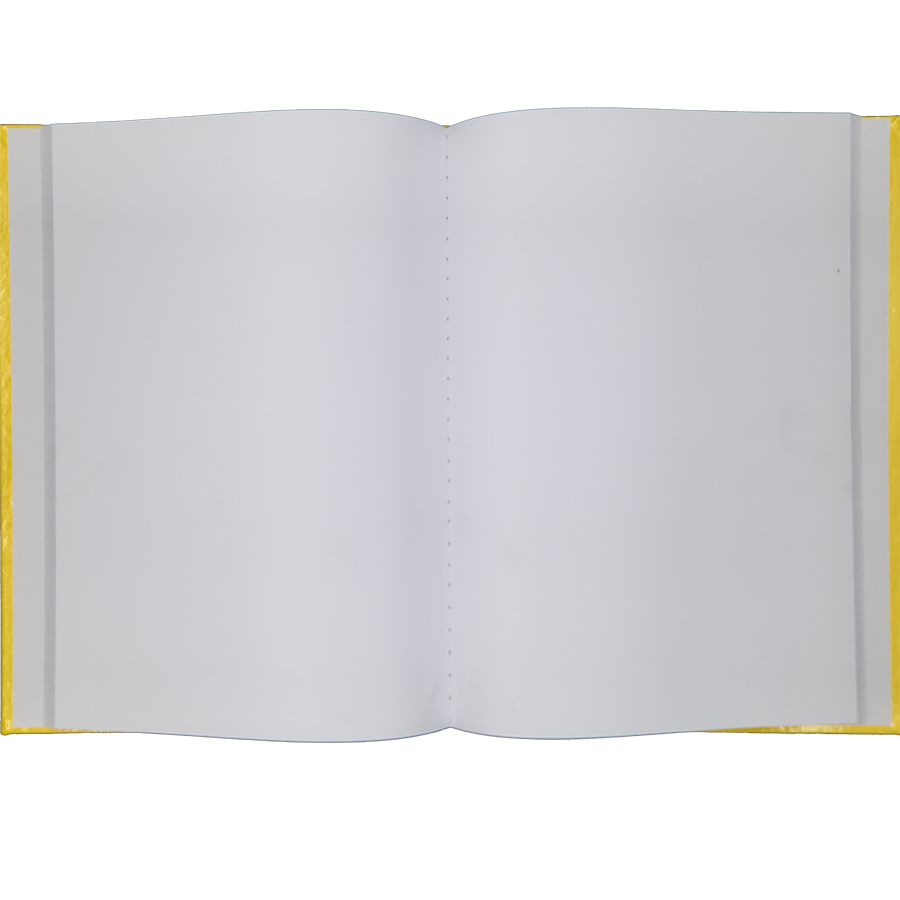 Caderno brochura Stiff preto 96 folhas sem pauta Jandaia 27,5cm x 20cm x 1,2cm - Imagem 2