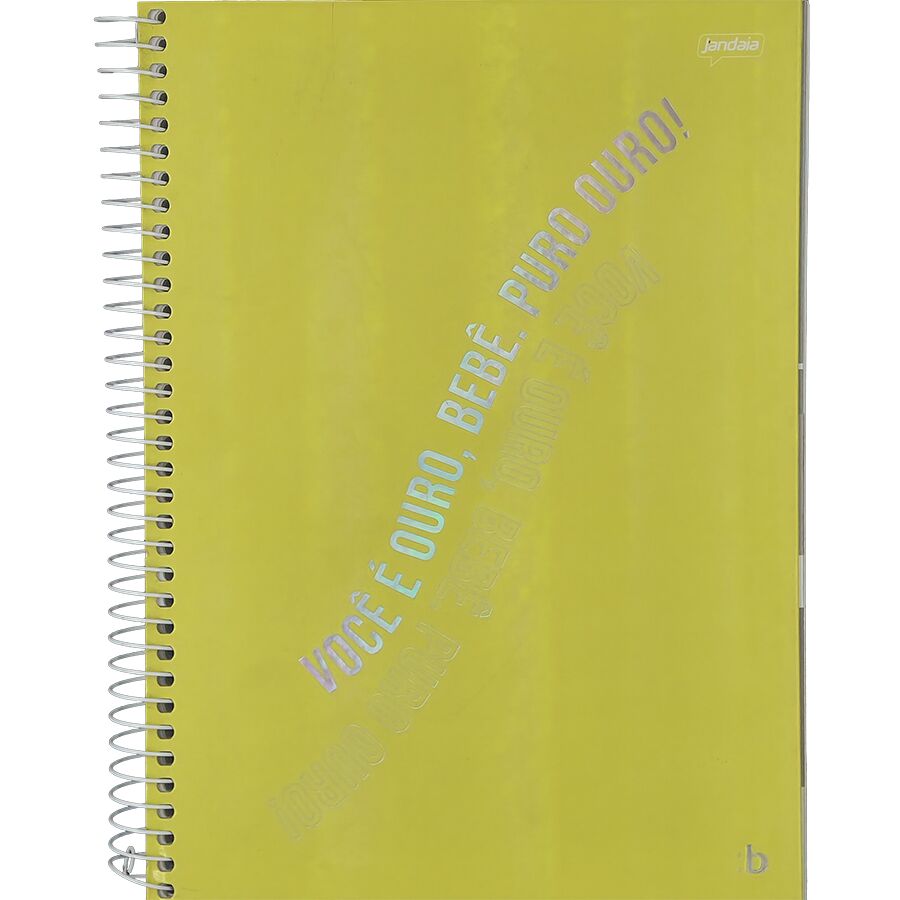 Caderno Bright 10 matérias universitário Jandaia 160 folhas 27,5cm x 20cm x 1,8cm