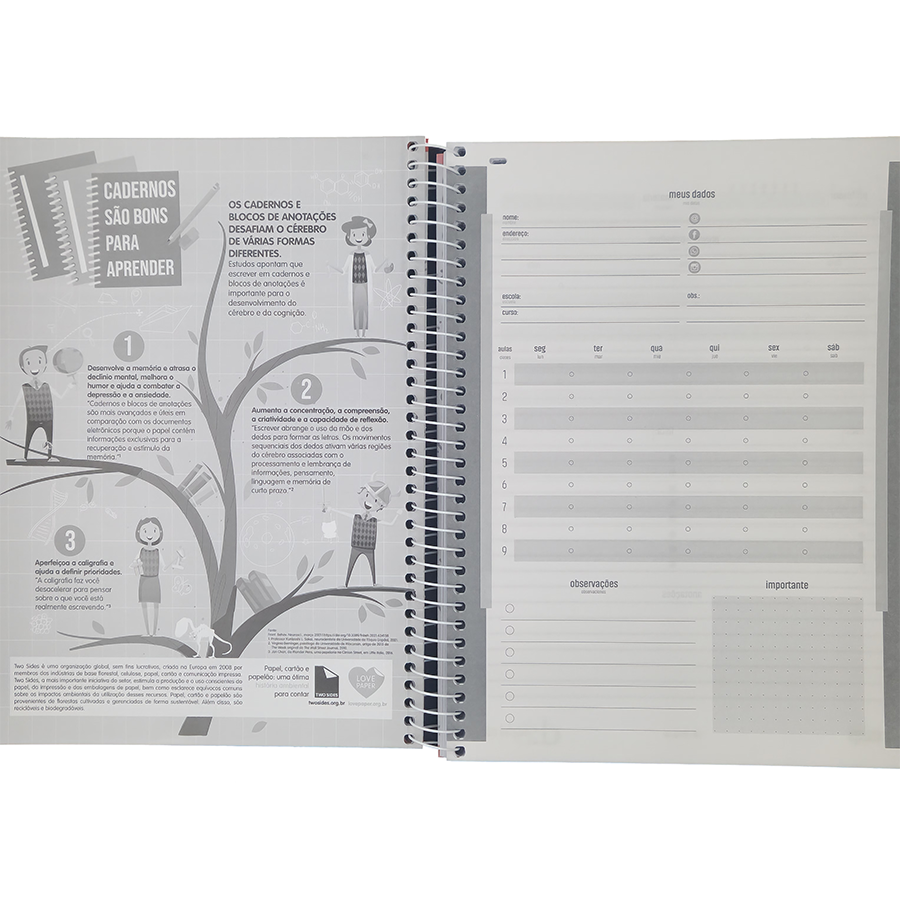 Caderno Bright 10 matérias universitário Jandaia 160 folhas 27,5cm x 20cm x 1,8cm - Imagem 6