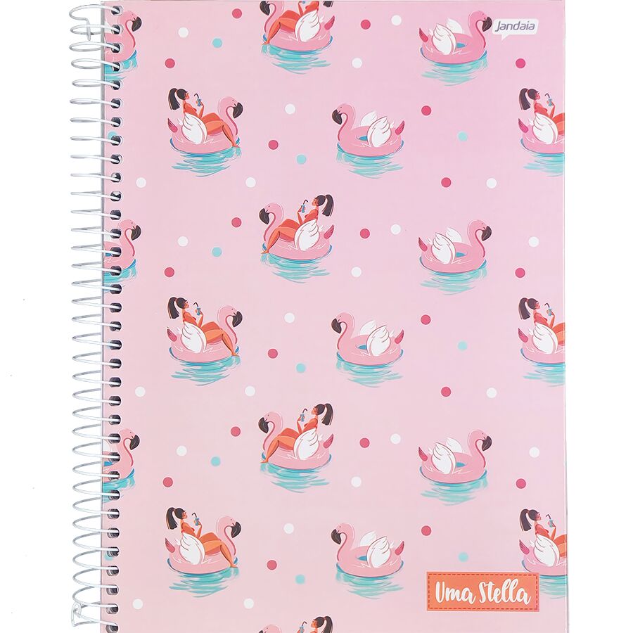 Caderno Jandaia Uma Stella 10 matérias universitário 160 folhas 27,5cm x 20cm x 1,8cm - Imagem 4