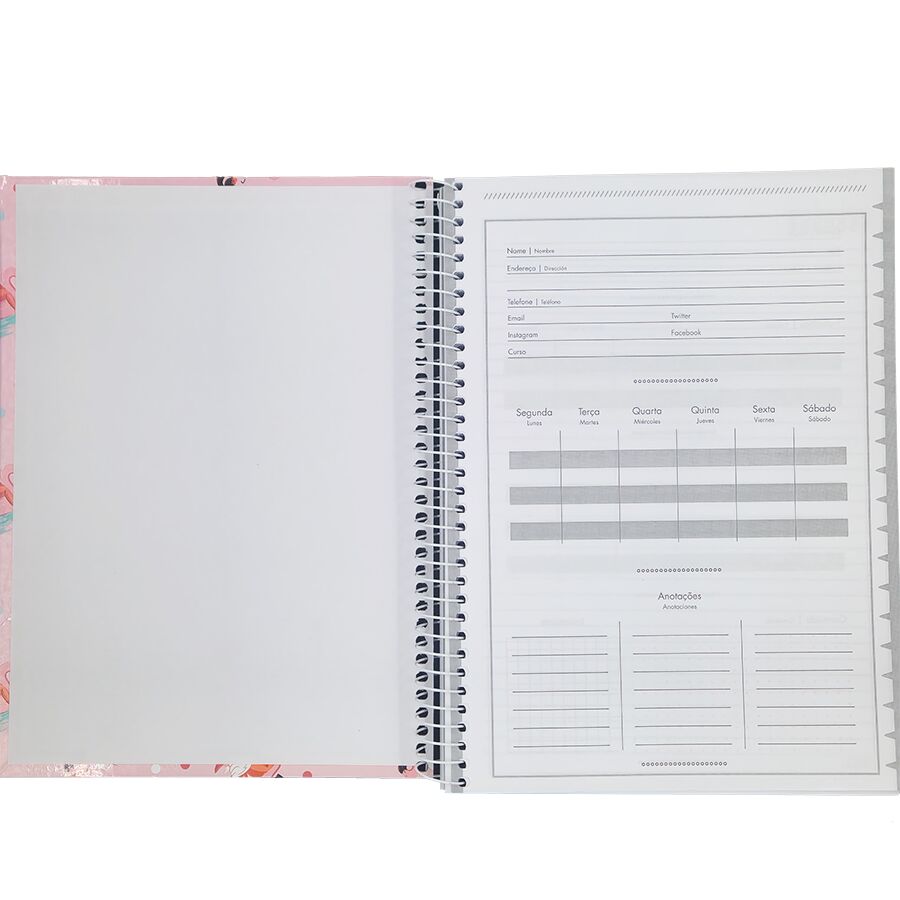 Caderno Jandaia Uma Stella 10 matérias universitário 160 folhas 27,5cm x 20cm x 1,8cm - Imagem 2