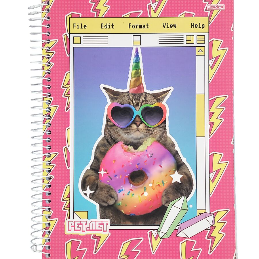 Caderno SD Pet Net 10 matérias universitário 160 folhas 27,5cm x 20cm x 1,8cm - Imagem 5