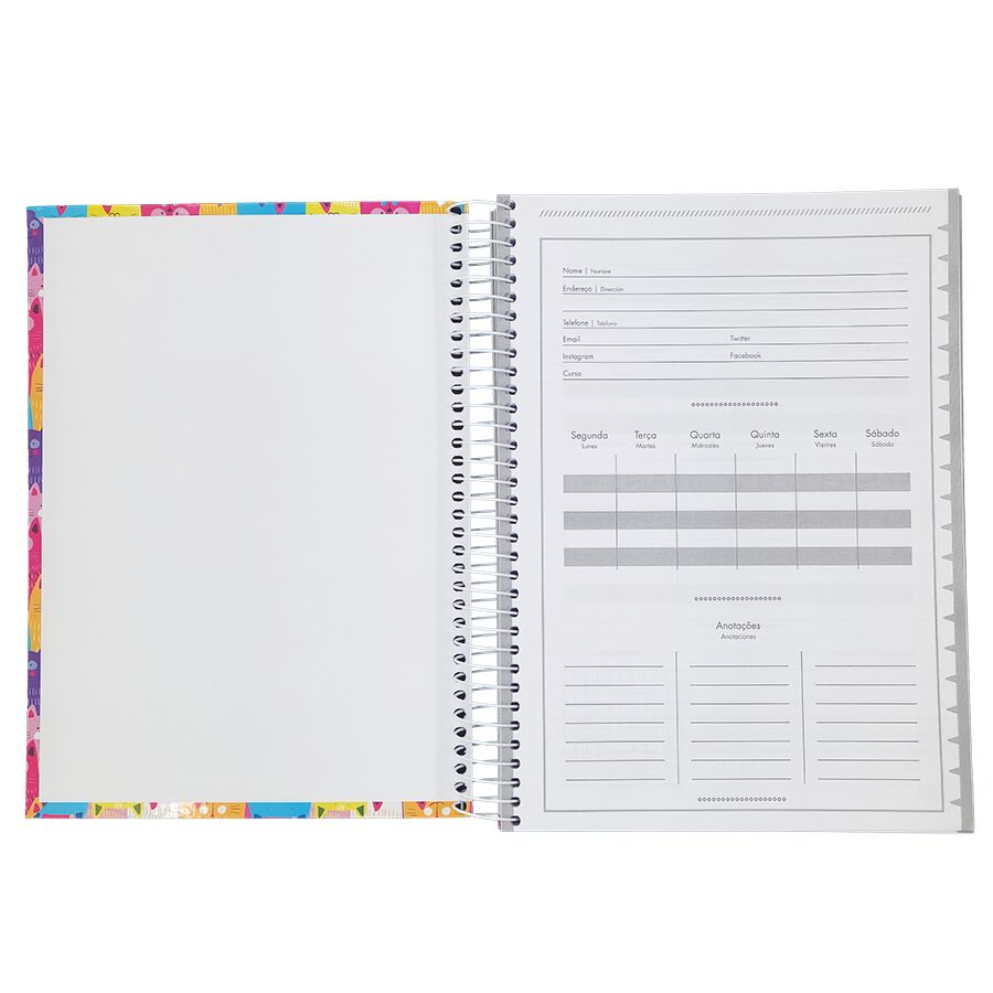 Caderno Uma Stella 15 matérias universitário Jandaia 240 folhas 27,5cm x 20cm x 2,1cm - Imagem 2