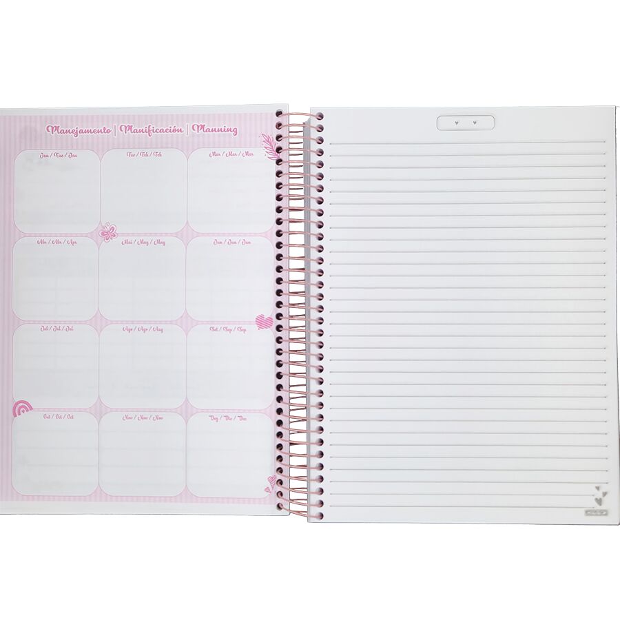 Caderno SD Debby 15 matérias universitário 240 folhas 27,5cm x 20cm x 2,1cm - Imagem 3