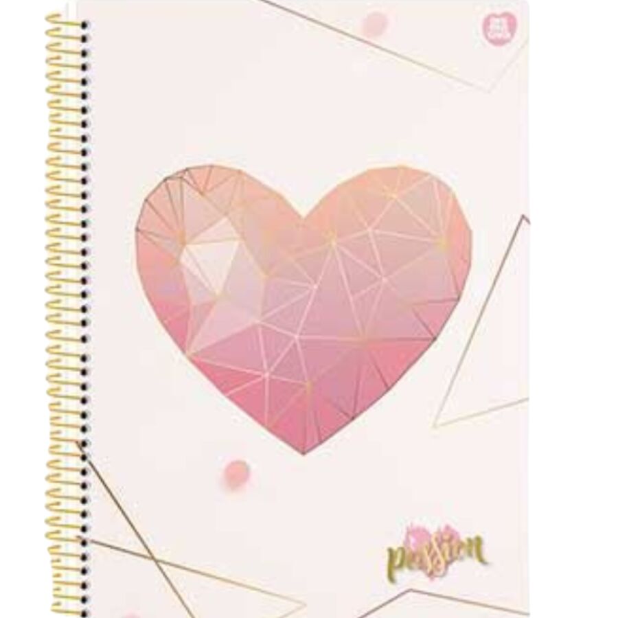 Caderno São Domingos Passion Universitario 10 matérias 160 folhas